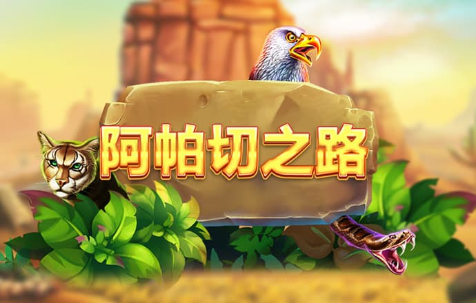 8000cc官网下载